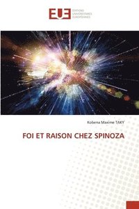 bokomslag Foi Et Raison Chez Spinoza