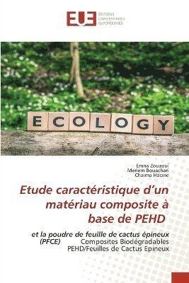 Emna Zouaoui, Meriem Bouachari, Chaima Hocine - Etude caractéristique d'un matériau composite à base de PEHD, Häftad