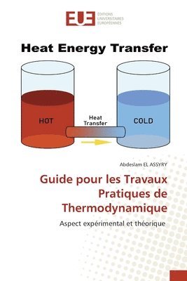 bokomslag Guide pour les Travaux Pratiques de Thermodynamique