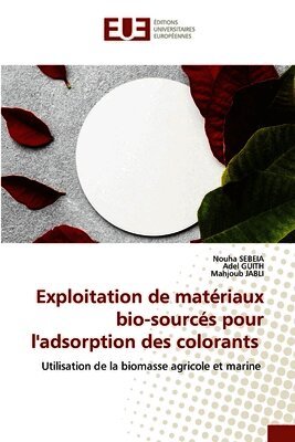 Exploitation de matériaux bio-sourcés pour l'adsorption des colorants