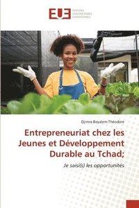 bokomslag Entrepreneuriat chez les Jeunes et Dveloppement Durable au Tchad;