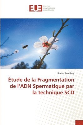 bokomslag tude de la Fragmentation de l'ADN Spermatique par la technique SCD