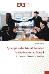 bokomslag Synergie entre l'Audit Social et la Motivation au Travail