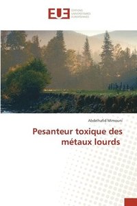 bokomslag Pesanteur toxique des mtaux lourds