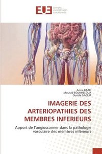 bokomslag Imagerie Des Arteriopathies Des Membres Inferieurs