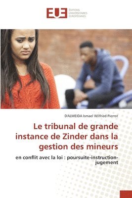 bokomslag Le tribunal de grande instance de Zinder dans la gestion des mineurs