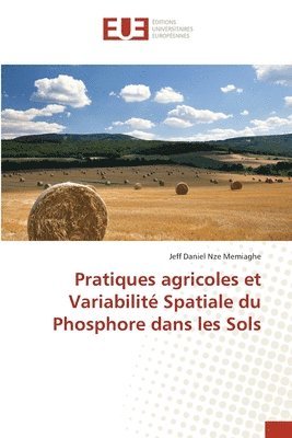 bokomslag Pratiques agricoles et Variabilit Spatiale du Phosphore dans les Sols