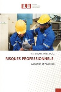 bokomslag Risques Professionnels