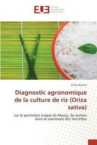 bokomslag Diagnostic agronomique de la culture de riz (Oriza sativa)