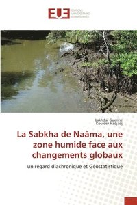 bokomslag La Sabkha de Naâma, une zone humide face aux changements globaux
