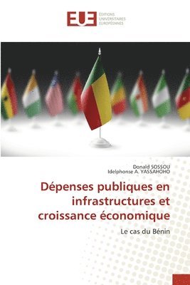 bokomslag Dpenses publiques en infrastructures et croissance conomique