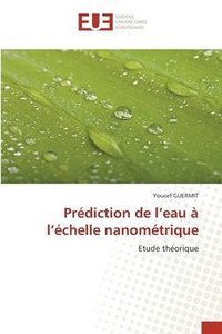 bokomslag Prdiction de l'eau  l'chelle nanomtrique