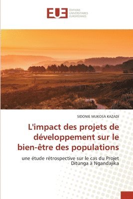 bokomslag L'impact des projets de dveloppement sur le bien-tre des populations