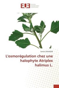 bokomslag L'osmorgulation chez une halophyte Atriplex halimus L.