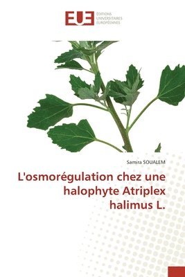 bokomslag L'osmorgulation chez une halophyte Atriplex halimus L.