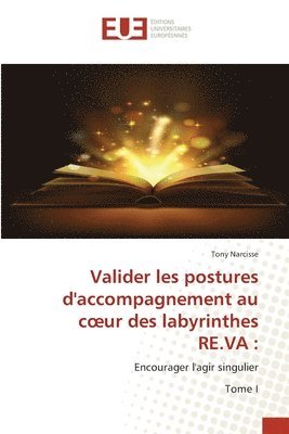 bokomslag Valider les postures d'accompagnement au coeur des labyrinthes RE.VA