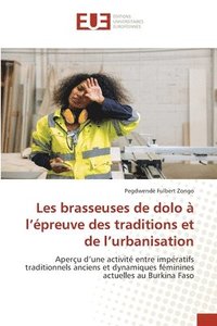 bokomslag Les brasseuses de dolo à l'épreuve des traditions et de l'urbanisation