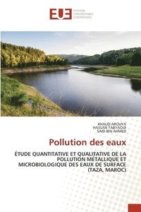 bokomslag Pollution des eaux