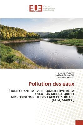 Pollution des eaux 1