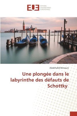 bokomslag Une plonge dans le labyrinthe des dfauts de Schottky