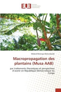 bokomslag Macropropagation des plantains (Musa AAB)