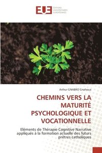 bokomslag Chemins Vers La Maturit Psychologique Et Vocationnelle