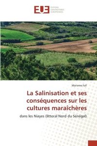 bokomslag La Salinisation et ses consquences sur les cultures marachres