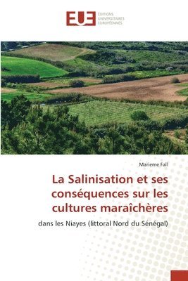 bokomslag La Salinisation et ses consquences sur les cultures marachres