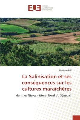 Salinisation et ses conséquences sur les cultures maraîchères