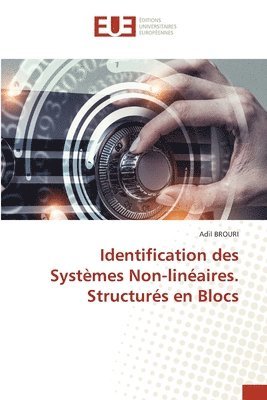 bokomslag Identification des Systmes Non-linaires. Structurs en Blocs