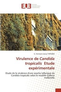 bokomslag Virulence de Candida tropicalis Etude exprimentale