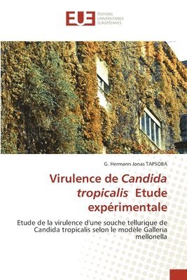 Virulence de Candida tropicalis Etude exprimentale 1