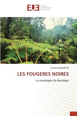 bokomslag Les Fougeres Noires