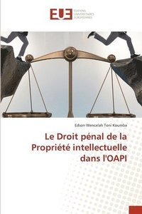 bokomslag Le Droit pnal de la Proprit intellectuelle dans l'OAPI