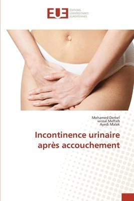 Mohamed Derbel, Wissal Mefteh, Ayedi Malek, wissal Mefteh - Incontinence urinaire après accouchement, Häftad