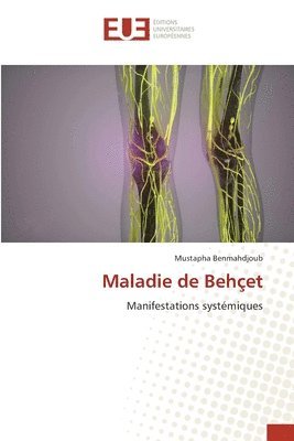 bokomslag Maladie de Behçet