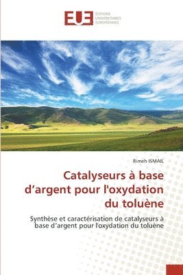 bokomslag Catalyseurs  base d'argent pour l'oxydation du tolune