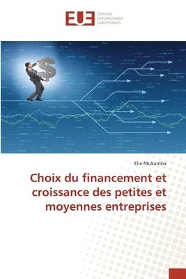 bokomslag Choix du financement et croissance des petites et moyennes entreprises