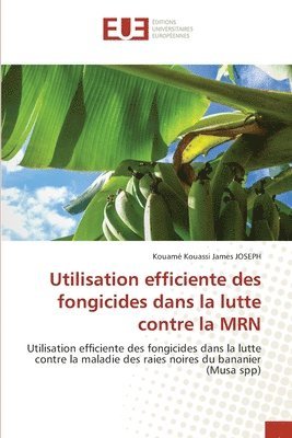 Utilisation efficiente des fongicides dans la lutte contre la MRN 1