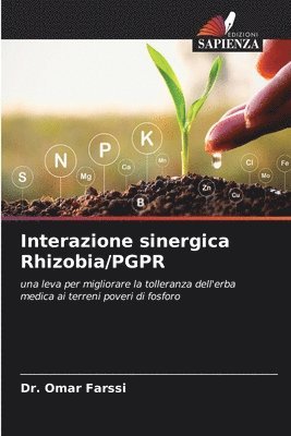 bokomslag Interazione sinergica Rhizobia/PGPR