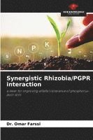 bokomslag Synergistic Rhizobia/PGPR interaction