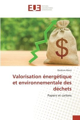 bokomslag Valorisation énergétique et environnementale des déchets