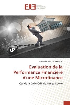 Evaluation de la Performance Financière d'une Microfinance