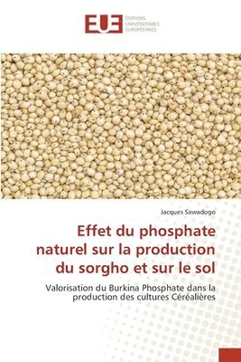 bokomslag Effet du phosphate naturel sur la production du sorgho et sur le sol