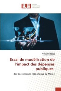 bokomslag Essai de modélisation de l'impact des dépenses publiques