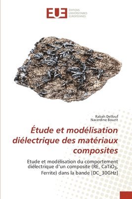 bokomslag tude et modlisation dilectrique des matriaux composites