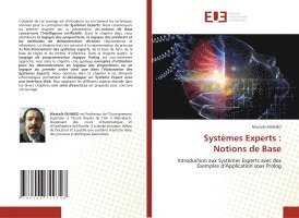 bokomslag Systèmes Experts
