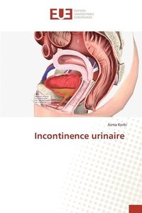 bokomslag Incontinence urinaire