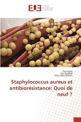 bokomslag Staphylococcus aureus et antibiorsistance