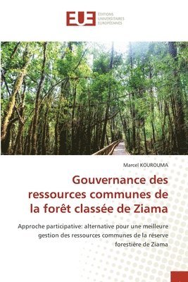 bokomslag Gouvernance des ressources communes de la fort classe de Ziama